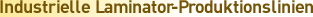 Industrielle Laminator-Produktionslinien